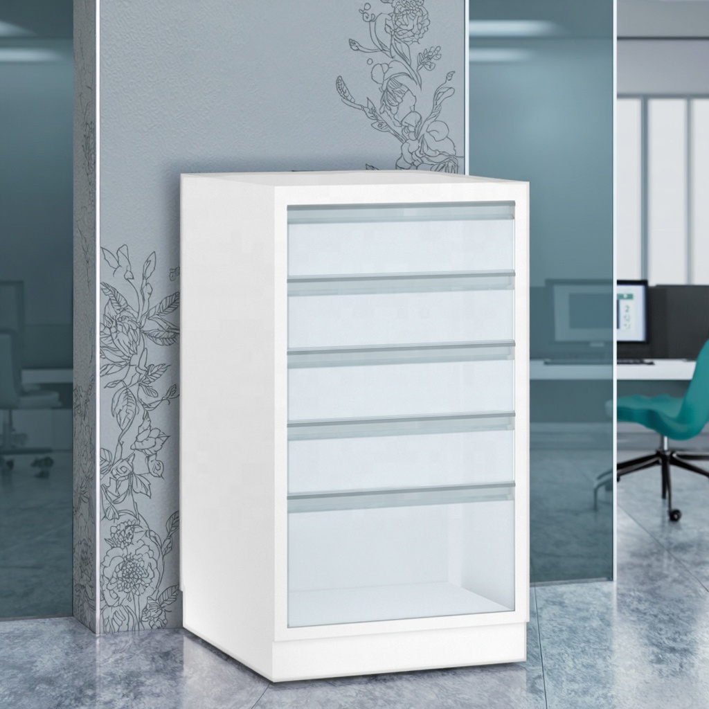 Modular Modern Stainless Steel Clinical Archives Organizer Cabinet for Hospital Office Use with Suspension Files Labeling System