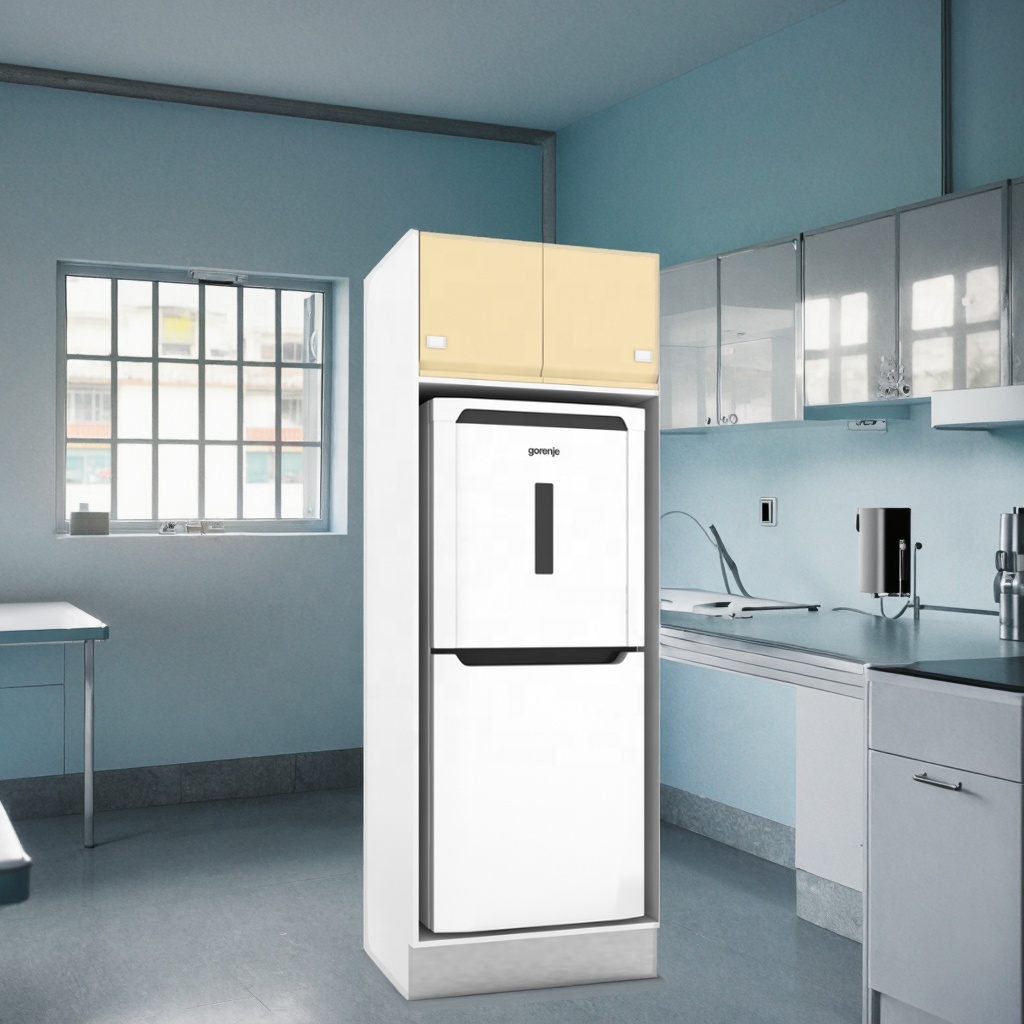 Clinical Cooling Stainless Steel Storage Cabinet 810mm Temperature Control Zone Lock Mechanism for Hospital Vaccine Cold Storage
